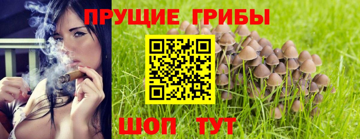 Галлюциногенные грибы GOLDEN TEACHER  Вход с VPN  Балашов  Псилоцибиновые грибы Cubensis 