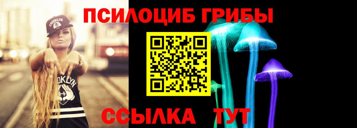 Псилоцибиновые грибы ЛСД Балашов